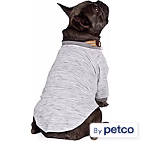 Reddy Grey Textured Pet T-Shirt