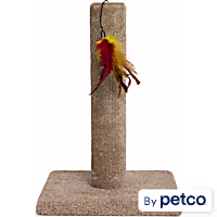 EveryYay Carpeted Cat Scratch Post with Feather Toy