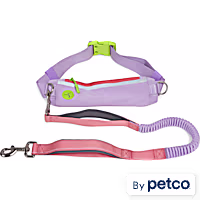 YOULY Shock-Absorbing Dog Leash & Running Belt Set