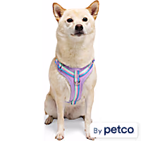 YOULY Comfort Neoprene Dog Harness