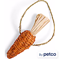EveryYay Carrot-Shaped Small Animal Hay Chew Toy