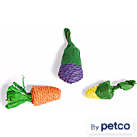 EveryYay Veggie-Shaped Small Animal Chew Toys