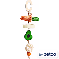 EveryYay Veggie Skewer-Shaped Small Animal Chew Toy
