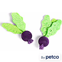EveryYay Turnip-Shaped Small Animal Chew Toys