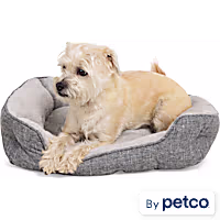 EveryYay Snooze Fest Grey Rectangle Nester Box Dog Bed