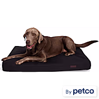 Reddy Durable Gusset Dog Bed