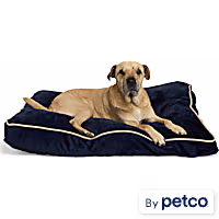 EveryYay Essentials Rectangle Lounger Dog Bed