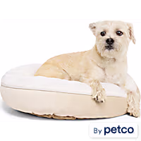 EveryYay Essentials Round Bolster Pet Bed