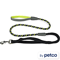 YOULY Adventure Shock-Absorbing Dog Leash