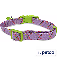 YOULY Adventure Reflective Dog Collar