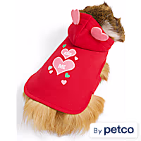 YOULY Valentine's Day Small Animal Hoodie