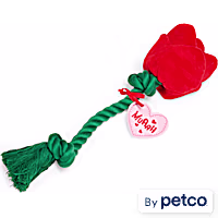 YOULY Rose Plush Rope Dog Toy