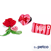 YOULY Valentine's Day Catnip Gift Set