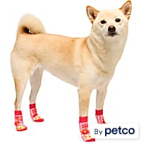YOULY Gingham Flower Dog Socks