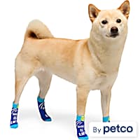 YOULY Ball Is Life Dog Socks