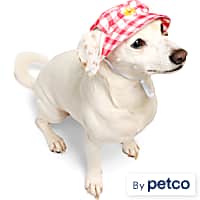 YOULY Gingham Flower Bucket Pet Hat