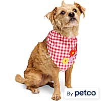 YOULY Gingham Dog Bandana