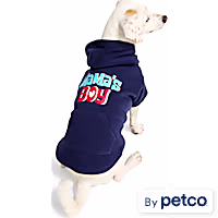 YOULY Mama's Boy Pet Hoodie