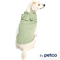 YOULY Teddy Bear Ears Pet Sweater
