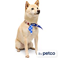 YOULY American Flag Tie Dog Bandana