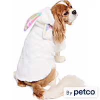 YOULY Easter Bunny Pet Hoodie