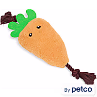 YOULY Easter Carrot Rope Dog Toy