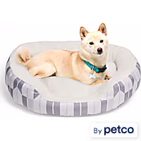 EveryYay Essentials Oval Cuddler Pet Bed