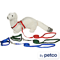 Bunny leash petco store