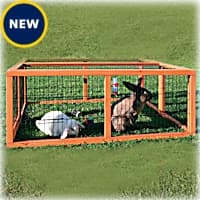 Ifa top rabbit hutch
