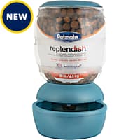 Automatic Dog Feeders Timed Programmable Smart Petco