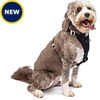 Dog seat clearance belt wilko