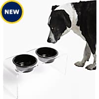Automatic Dog Feeders Timed Programmable Smart Petco