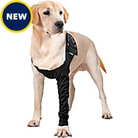 Zen online collar petco