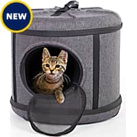 Petco cardboard cat clearance carrier