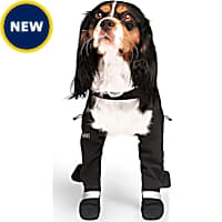 Dog Boots Shoes Socks Puppy Dog Booties Petco