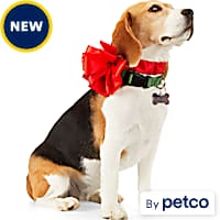 Dog Christmas Sweaters Holiday Apparel Petco