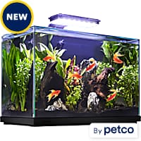 Petco glass aquarium new arrivals