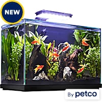 Blue Planet Glass Aquarium - 65L - Redwood Aquatics Aquarium