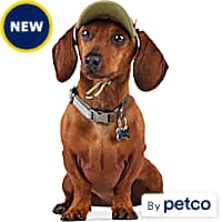 Dog Hats Beanies Summer Winter Head Gear Petco