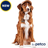Dog Hats Beanies Summer Winter Head Gear Petco