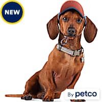 Dog Hats Beanies Summer Winter Head Gear Petco
