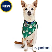 Dog Christmas Sweaters Holiday Apparel Petco