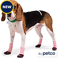 Dog socks petco outlet