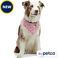 Dog Bandanas Handkerchiefs Petco