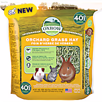 Oxbow Orchard Grass Hay