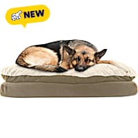 Canine Creations Mushroom Rectangle Dog Bed