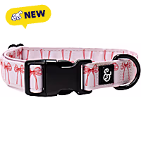 Lucy & Co. Take a Bow Dog Collar
