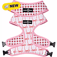 Lucy & Co. Take a Bow Reversible Dog Harness