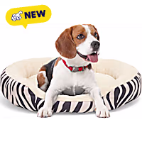 Petco Zebra Stripe Bolster Dog Bed