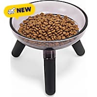 Petco Raised Glass Dog Bowl with Plastic Stand